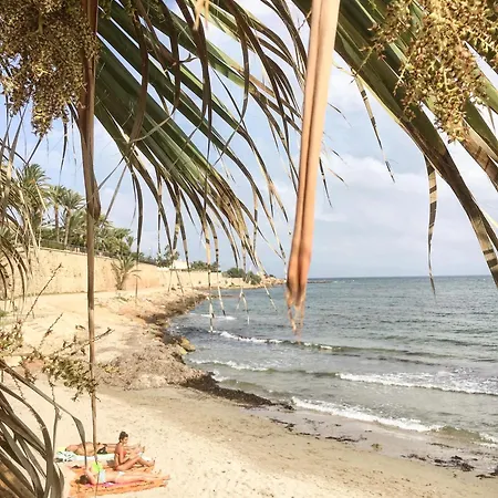 Alicante * Торевьиа