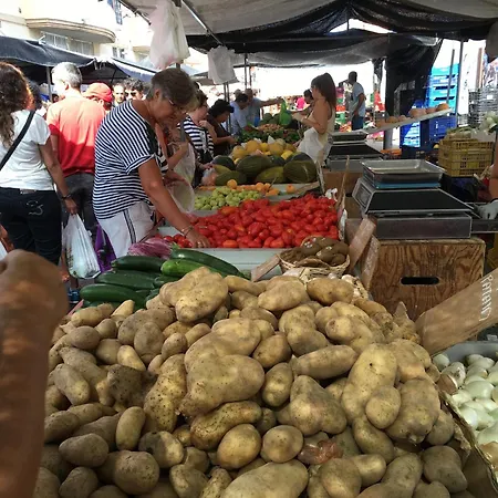 Alicante Tatil Evi *