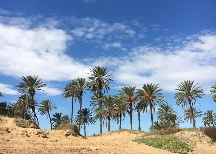 Alicante Tatil Evi Torrevieja