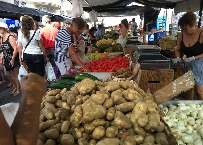 Alicante Tatil Evi *